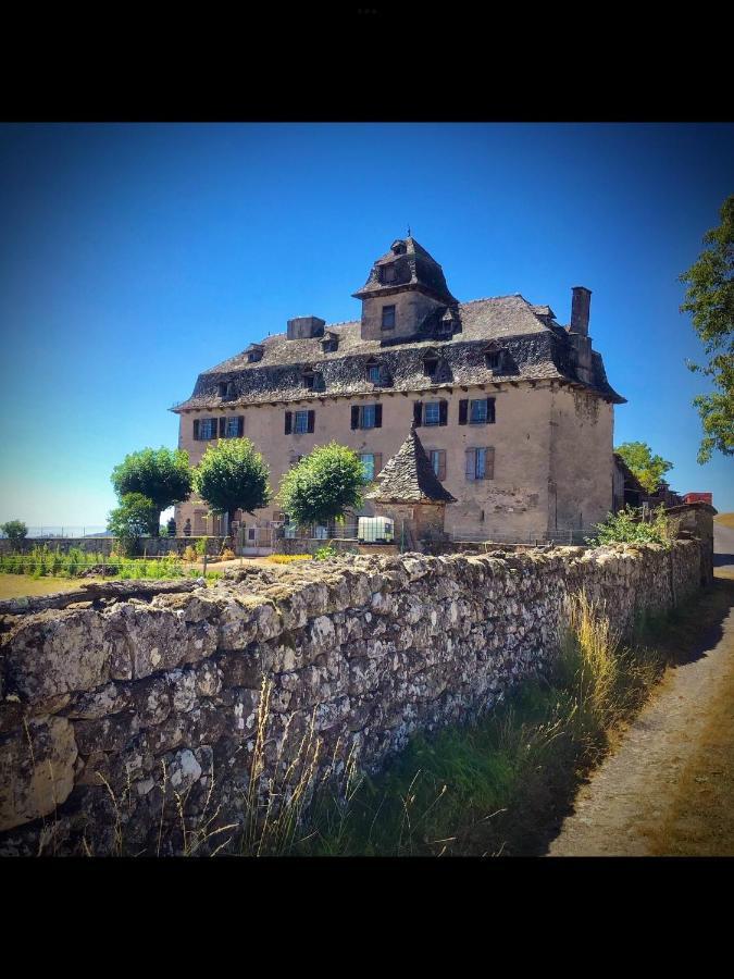 Sénezergues Chateau De Cours מראה חיצוני תמונה